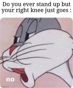Stupid Bar Memes 6793d6442f784