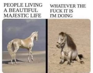 Stupid Bar Memes 67944862bd782
