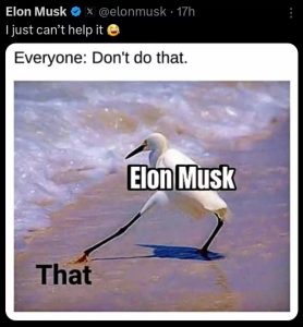 Stupid Bar Memes 67945ff874e55