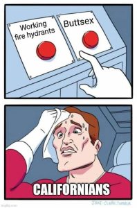 Stupid Bar Memes 790d73e038ad5a6c