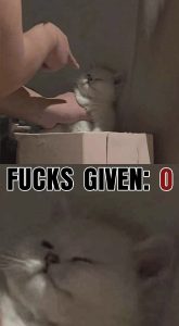 Stupid Bar Memes 7f69a3f3cf50596