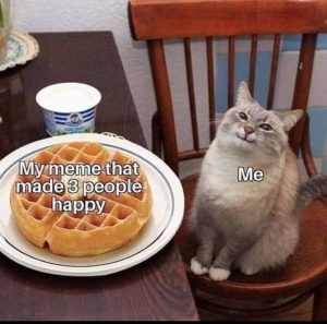 Stupid Bar Memes 8a44a86d7bfd
