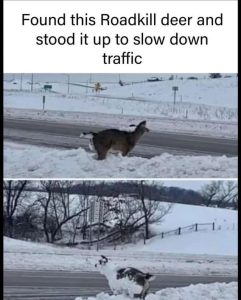 Stupid Bar Memes 8be5e38bd4435e9998