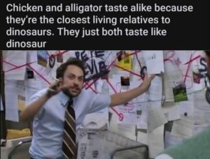 Stupid Bar Memes 8ff5722c68e9eb3c