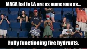 Stupid Bar Memes 9690baccf5d88918