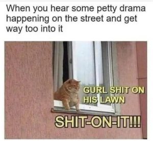 Stupid Bar Memes FEVna3Bsd