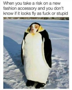 Stupid Bar Memes R1BlWdisd