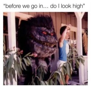 Stupid Bar Memes VxjBsgv