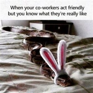 Stupid Bar Memes a1df84d3d88bd2