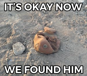 Stupid Bar Memes a2973f57e7d89a