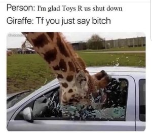 Stupid Bar Memes aQzz8Pds700b