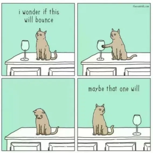 Stupid Bar Memes ad5befb23eac8