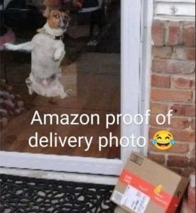 Stupid Bar Memes amdeliverysphotosd