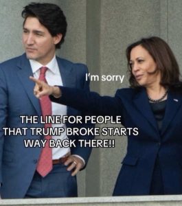 Stupid Bar Memes auslonespeoplestrump