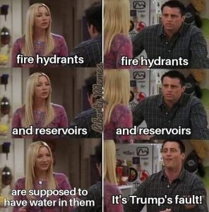 Stupid Bar Memes b517d143c0466e7