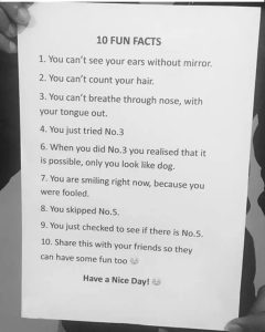 Stupid Bar Memes bd2208a8c4a8e5753