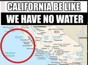 Stupid Bar Memes californavesnoswaterspac