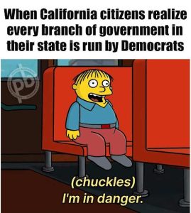 Stupid Bar Memes californgseverysbra