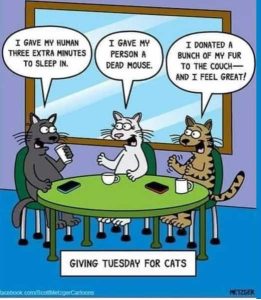 Stupid Bar Memes cataysfursdeadsmou