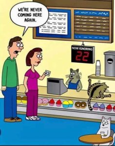 Stupid Bar Memes catsnumbersbakery