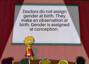 Stupid Bar Memes cbfd29f179a8ae0d