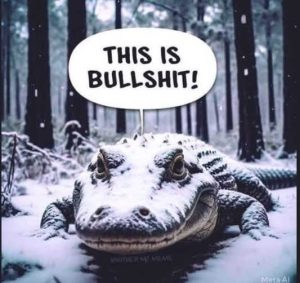 Stupid Bar Memes crocodilassnowsbs