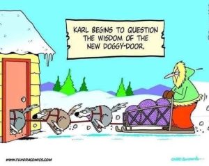 Stupid Bar Memes doggionsswisdomsdog