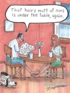 Stupid Bar Memes dogshaleswomansslegs