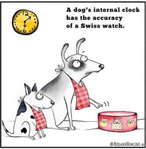 Stupid Bar Memes dogssintesmoresaccurat