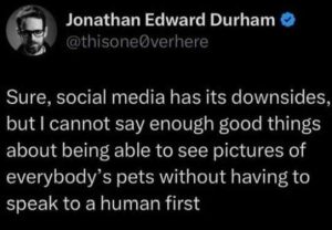 Stupid Bar Memes dogsswithoutsowne