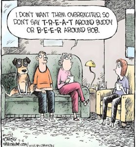 Stupid Bar Memes donundsdogsbeer