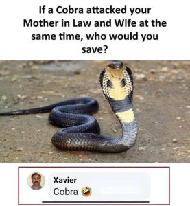 Stupid Bar Memes dsmotherswifessa