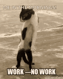 Stupid Bar Memes e0bf2bca4e085891