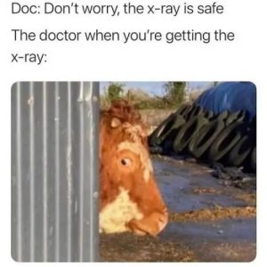 Stupid Bar Memes f40s23s0b2634