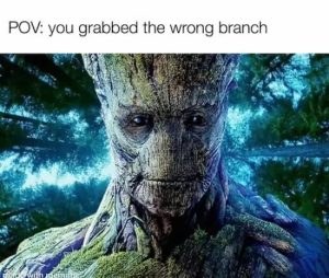 Stupid Bar Memes funmps640s01