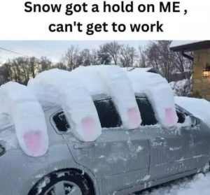 Stupid Bar Memes funnyspicss40s48