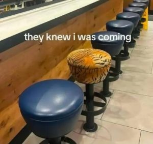 Stupid Bar Memes funnyspicss640s29
