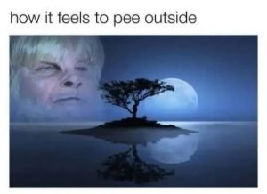 Stupid Bar Memes funnyspicss640s45