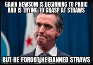 Stupid Bar Memes gavincsgraspingsatss