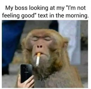 Stupid Bar Memes ishEVWg