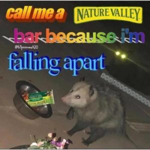 Stupid Bar Memes mCnMt8t