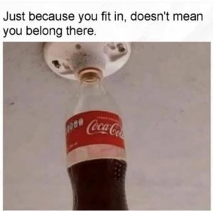 Stupid Bar Memes mesausesfitsinsnot