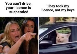 Stupid Bar Memes mudgessuspended