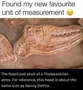 Stupid Bar Memes neitsofsmeasureshea