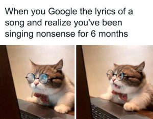 Stupid Bar Memes ngslyricsssingingsw