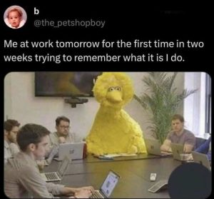 Stupid Bar Memes ngsrememberswhat
