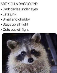 Stupid Bar Memes oonseyescirclesseats