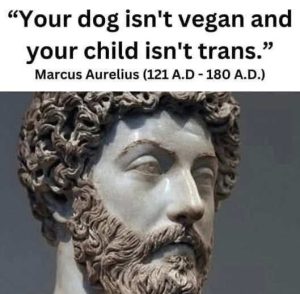 Stupid Bar Memes qusdogsnotsveganskid