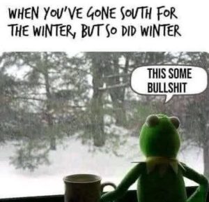 Stupid Bar Memes southsforswintersso