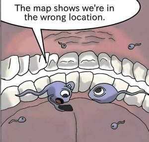 Stupid Bar Memes spsshowsswrongsloca